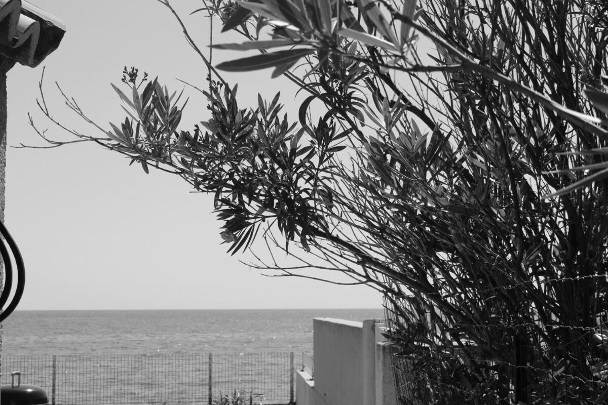 Bord de mer, pieds dans l'eau, vue panoramique Villa San-Nicolao Esterno foto