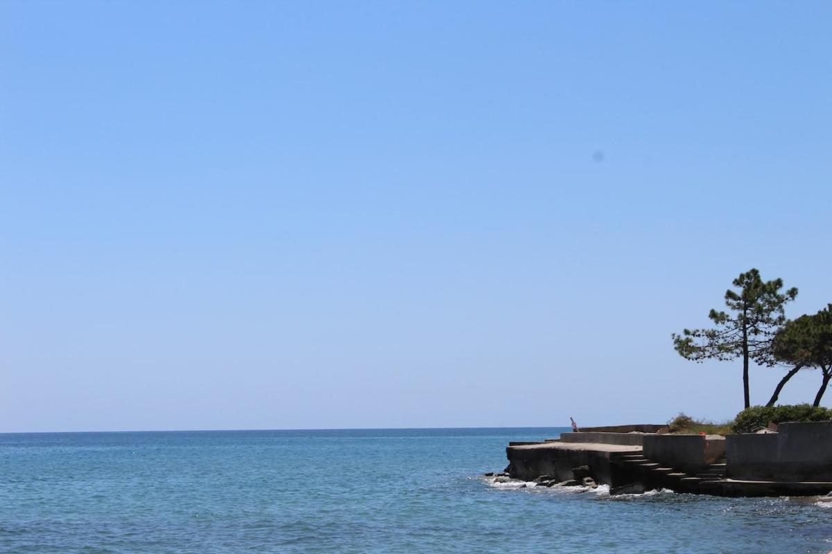 Bord de mer, pieds dans l'eau, vue panoramique Villa San-Nicolao Esterno foto