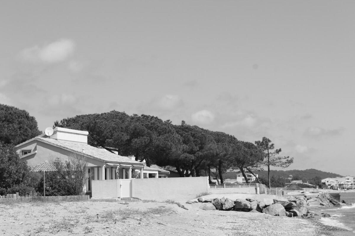 Bord de mer, pieds dans l'eau, vue panoramique Villa San-Nicolao Esterno foto