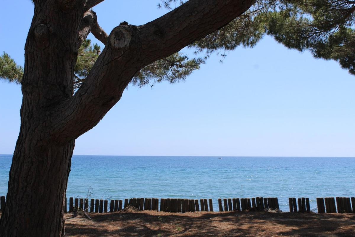 Bord de mer, pieds dans l'eau, vue panoramique Villa San-Nicolao Esterno foto